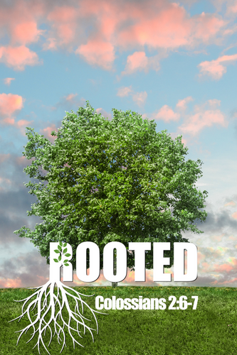 Why Being Rooted and Trusting in Christ is the Foundation for a Strong Year Ahead